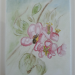 Aquarelle Abeille