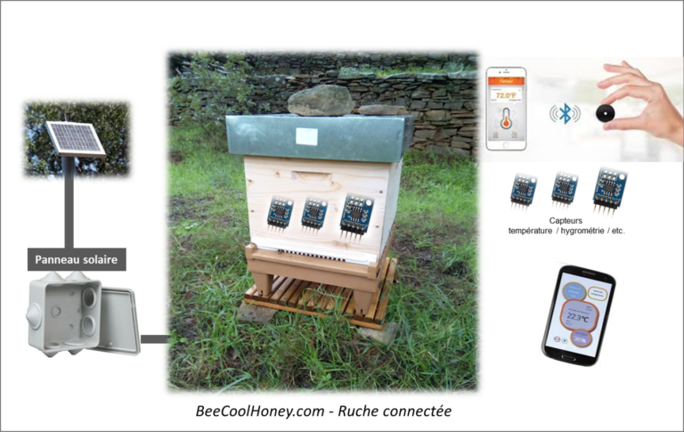 ruche-connect-e-bee-cool-honey